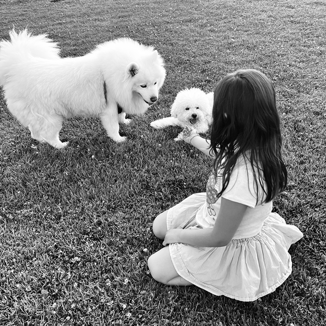 A little girl pets doogs